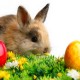 Zografos-Happy-Easter